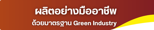 ผลิตอย่างมืออาชีพ